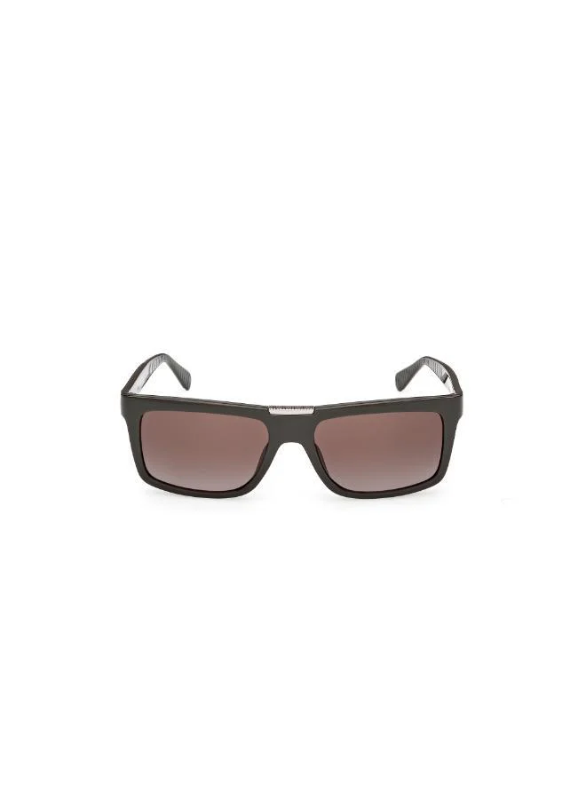 جس wayfarers sunglasses